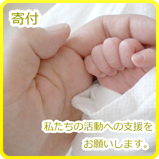 活動全般への寄付