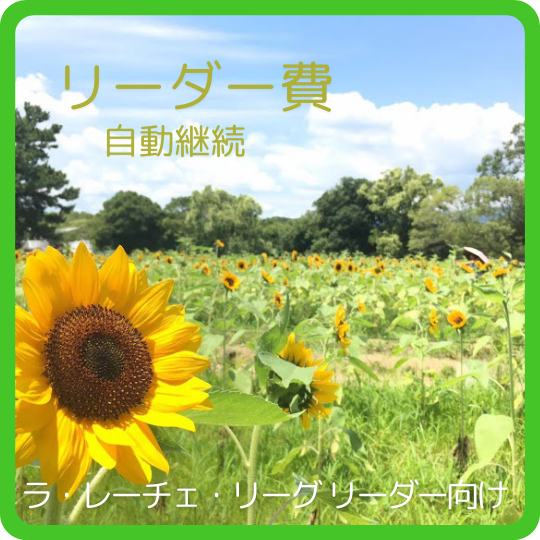 リーダー費費（自動継続）