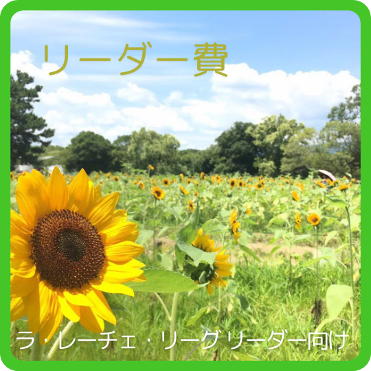 リーダー費（都度更新）